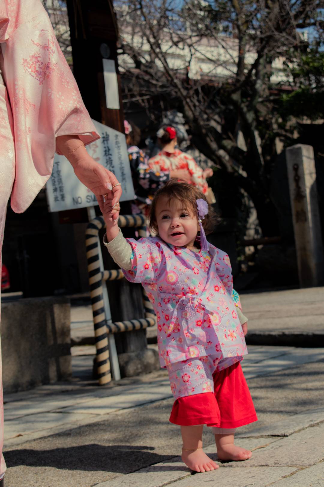 Happy birthday Halo - kyoto travel, japanese traditional dress, cherry blossom kimono