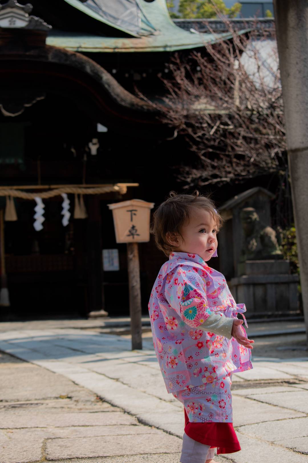 Happy birthday Halo - kimono fashion, authentic kimono, kimono rental kyoto