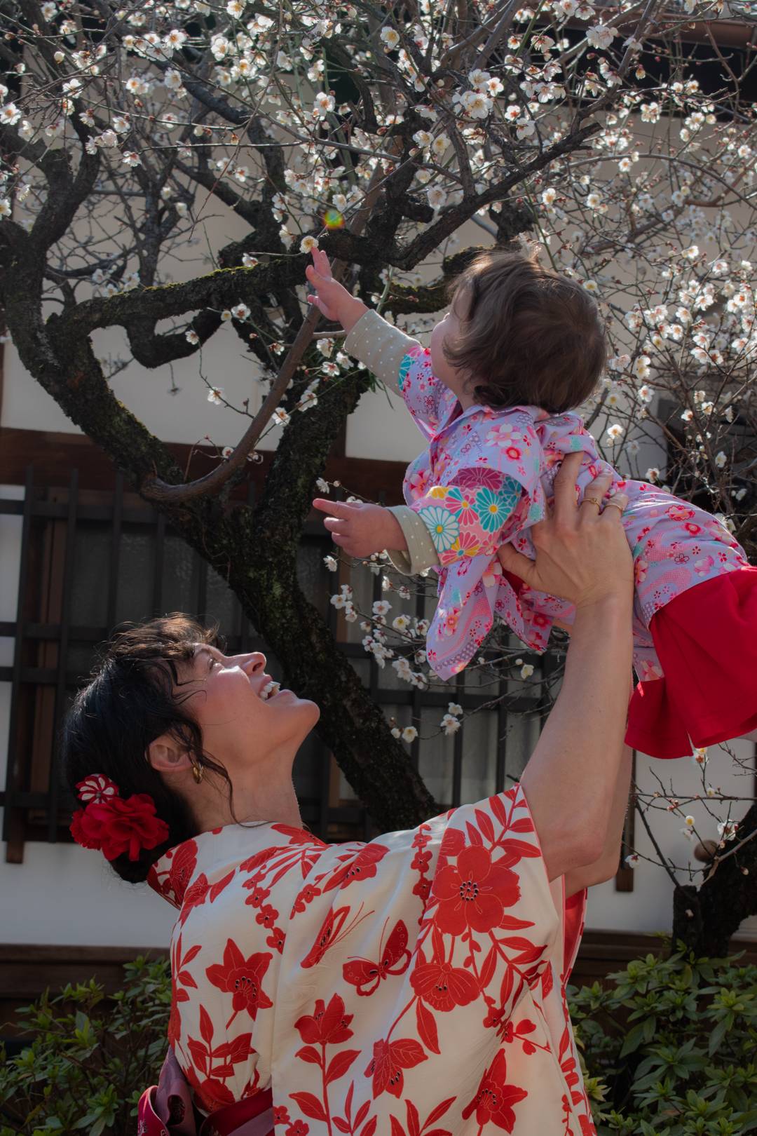 Happy birthday Halo - traditional japanese kimono, kiyomizu temple kimono, gion kimono