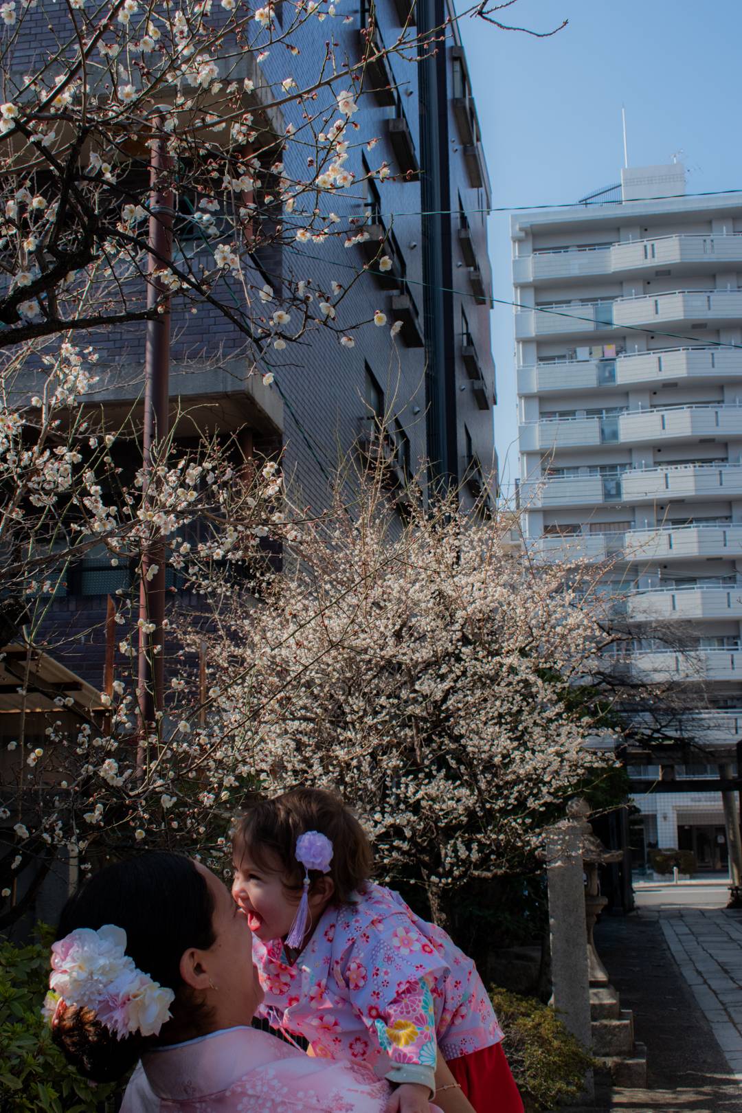 Happy birthday Halo - kimono rental service, elegant kimono, kimono photography kyoto