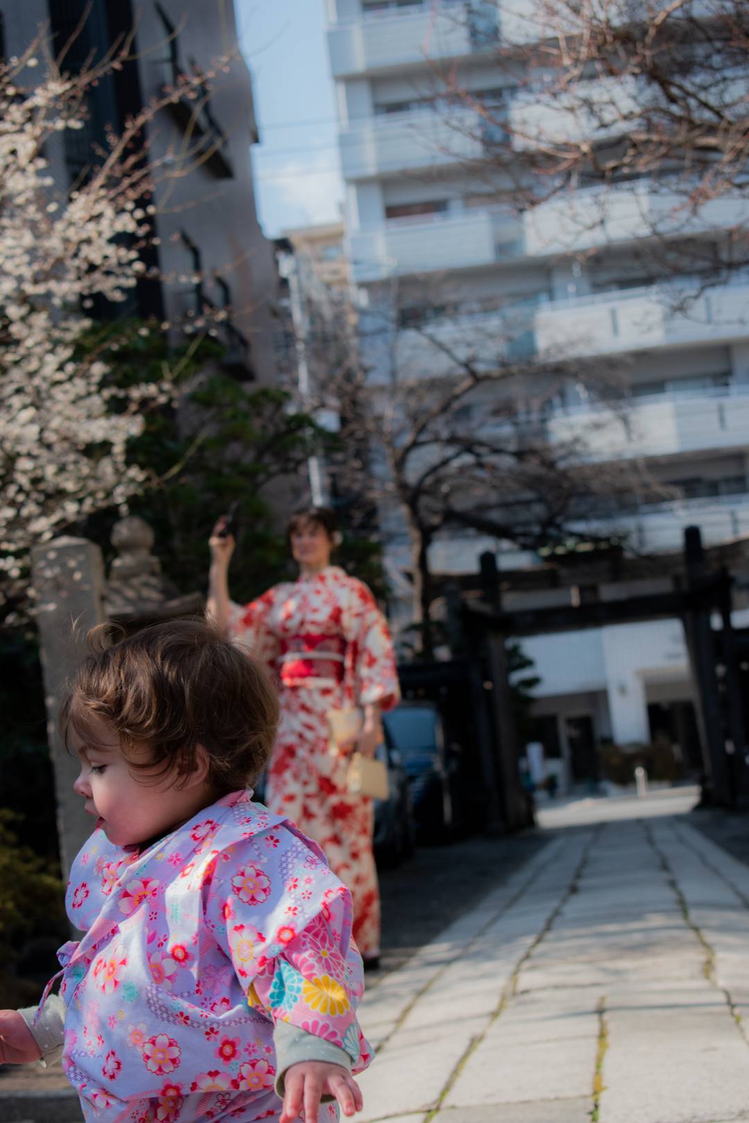 Happy birthday Halo - beautiful kimono, kimono experience, kyoto kimono photoshoot