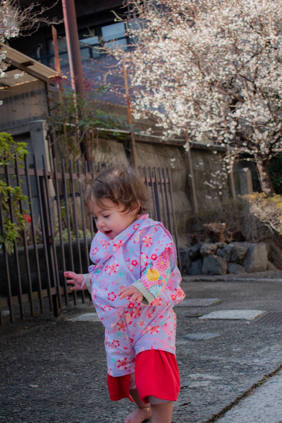 Happy birthday Halo - vintage kimono, kyoto kimono photoshoot, kimono fashion
