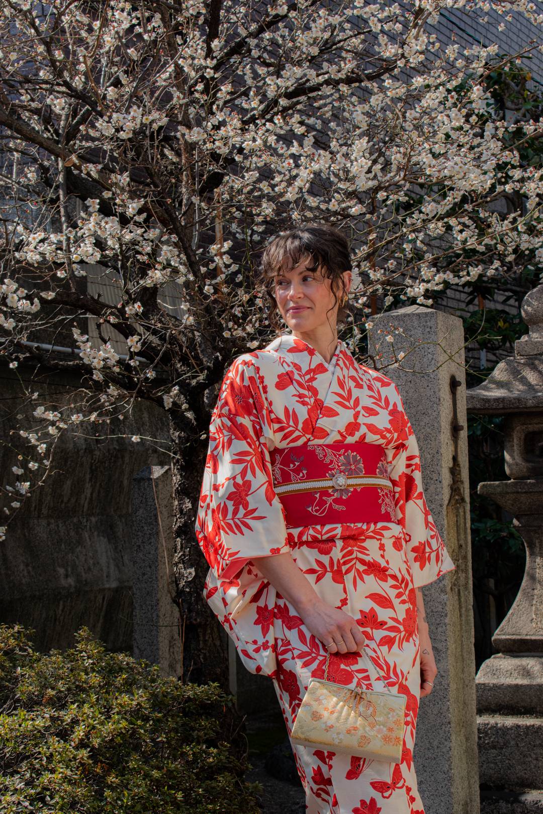 Happy birthday Halo - authentic kimono, gion kimono, cherry blossom kimono