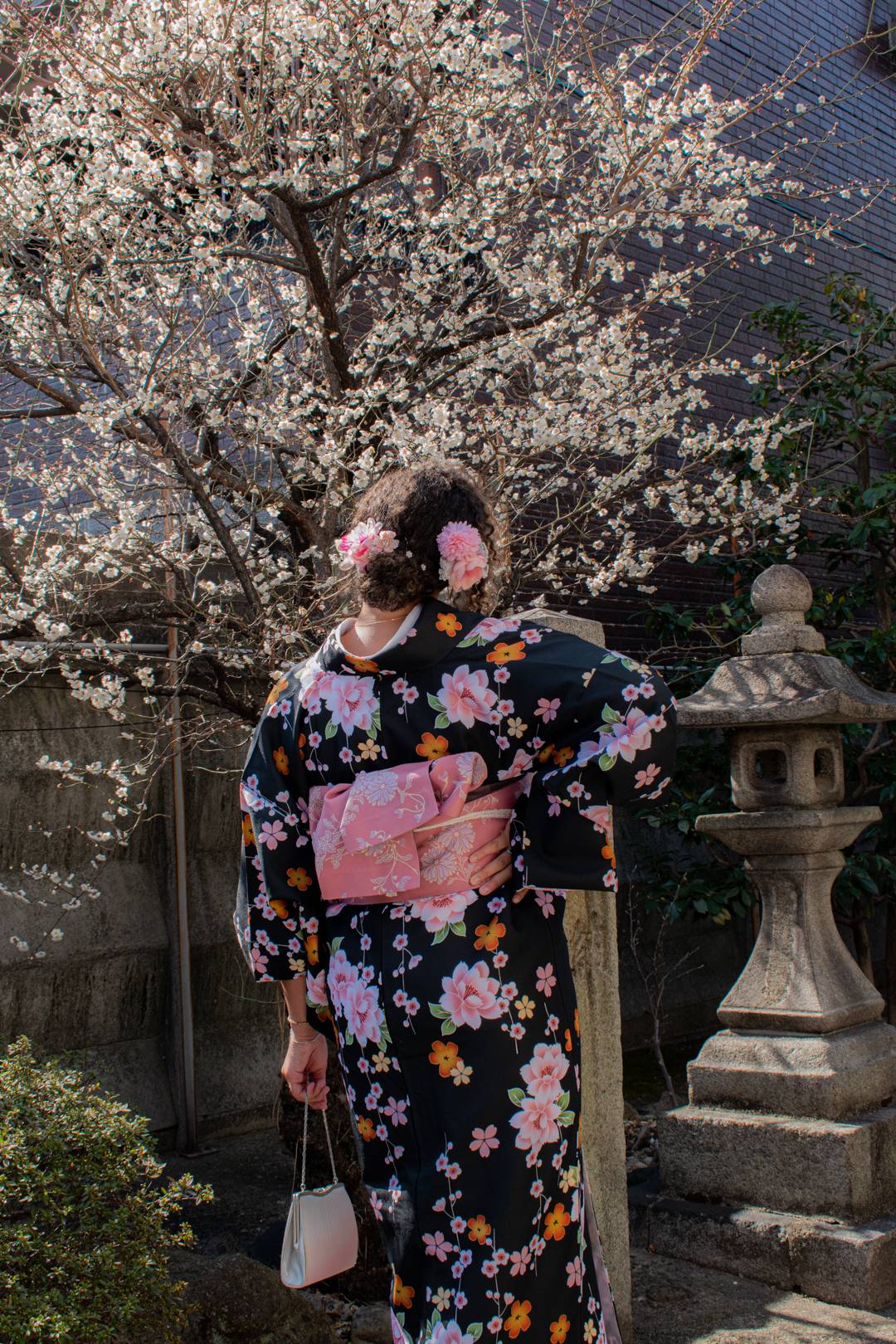 Happy birthday Halo - bamboo forest kimono, kyoto kimono photoshoot, beautiful kimono