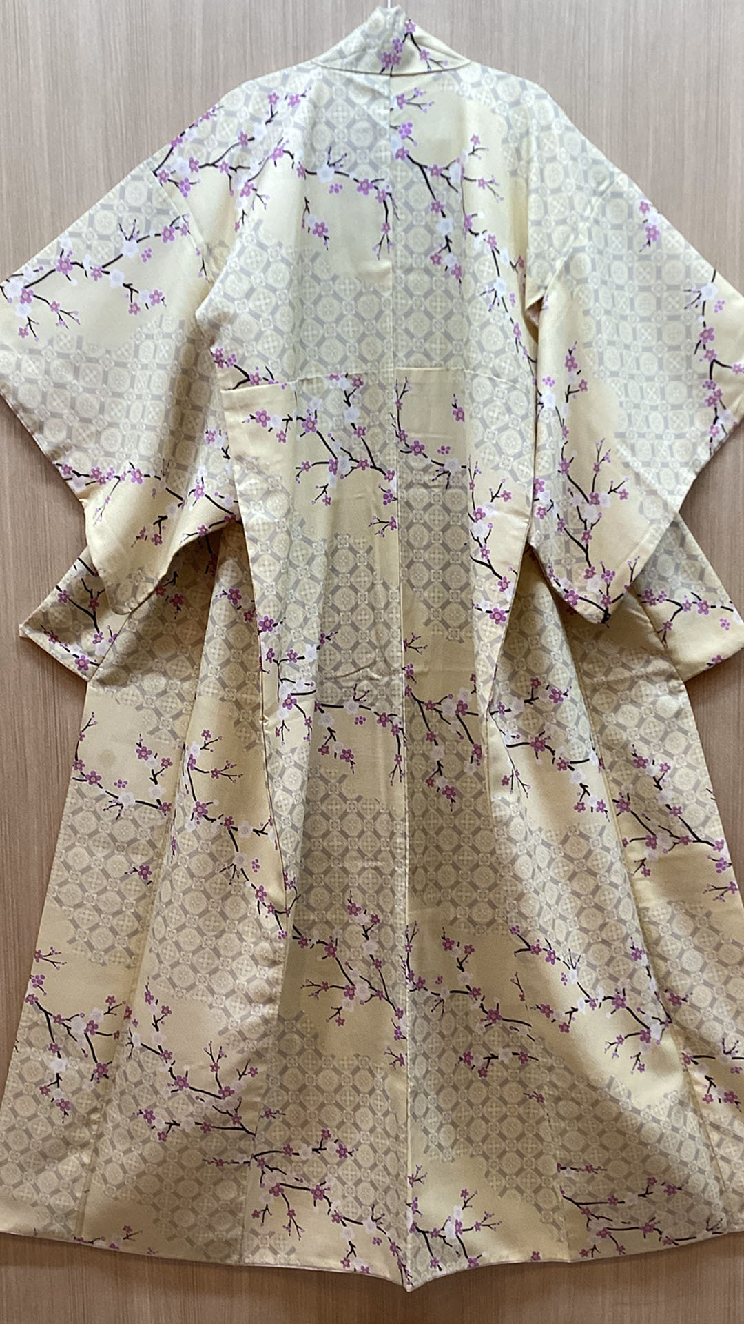 Modern Kimono 023