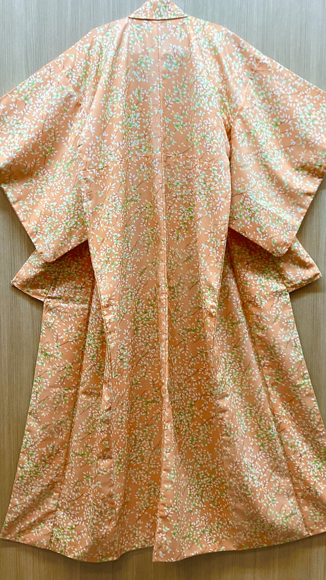 Modern Kimono 046