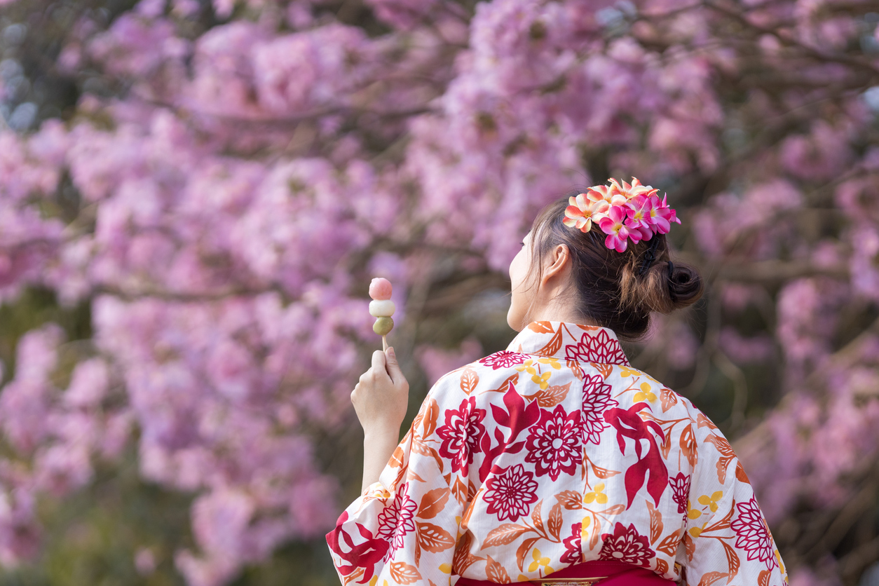 Spring season kimono 