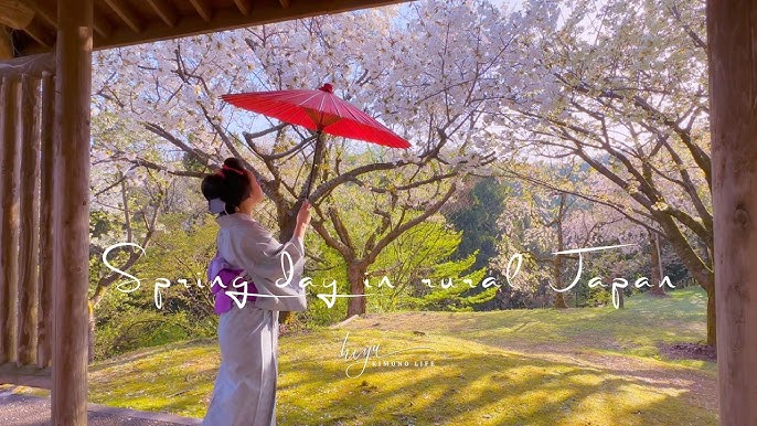 Spring moring in kyoto