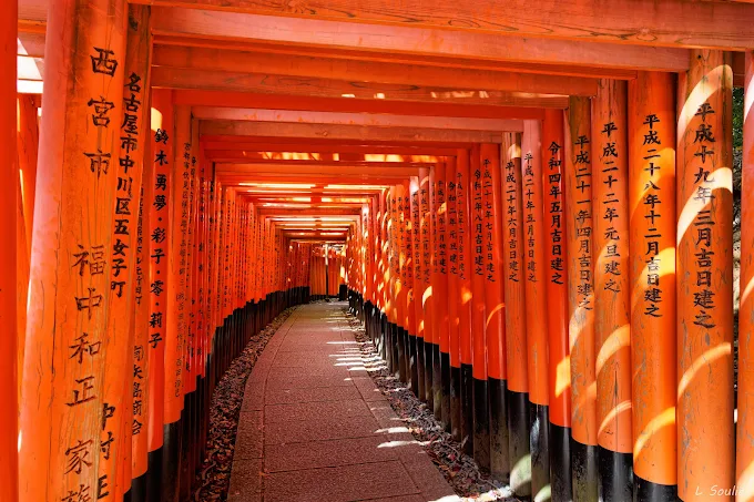 Experirnce fushimi inari 
